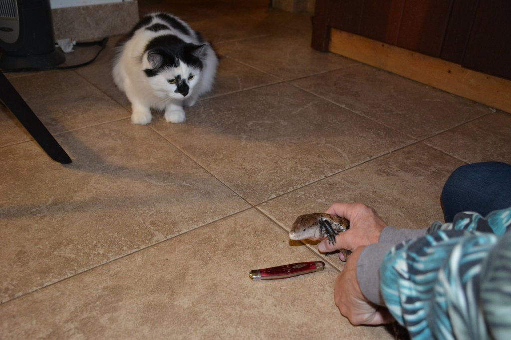 DSC_1228.JPG