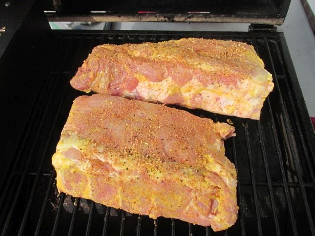 201122 001 baby backs on Traveler 001.jpg