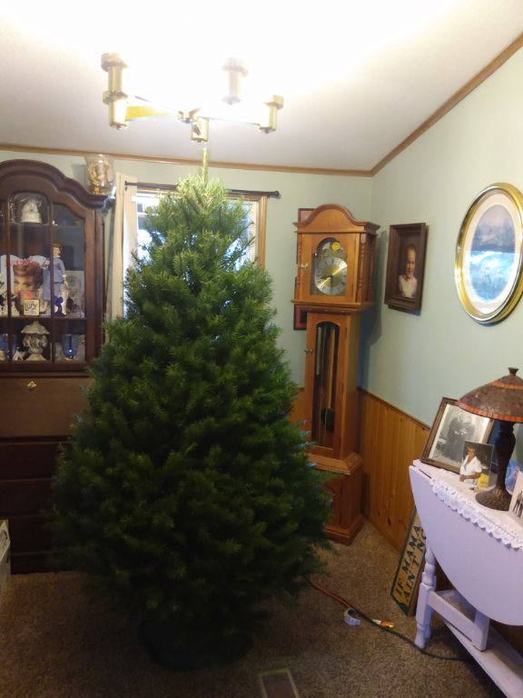 IMG_20201128_142836143.jpg