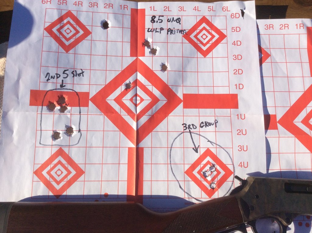 8.5 unique with WLP primers  30 yd target..jpg