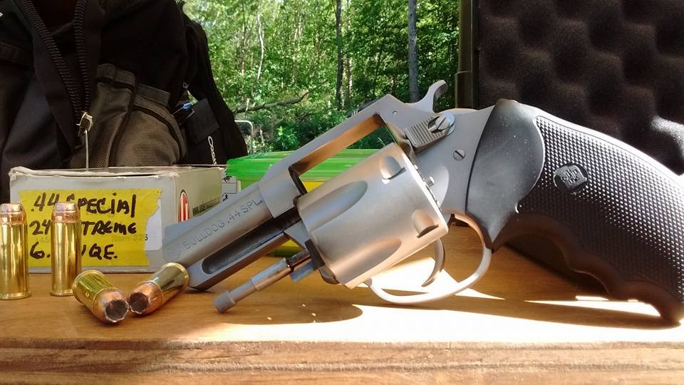 CA Bulldog .44 Special.jpg