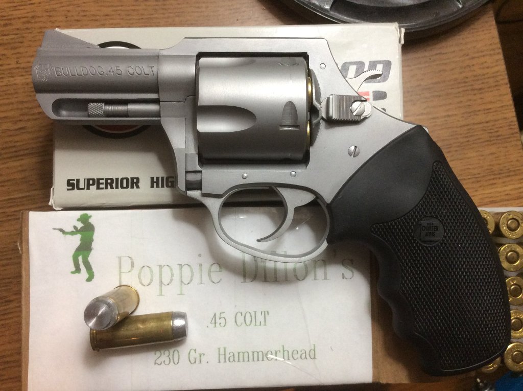 45 colt big dog.jpg