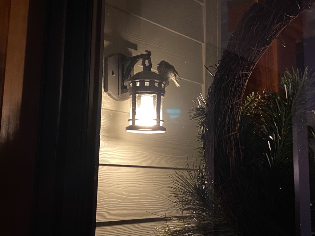 EDE00BA4-9716-42CC-A1EE-B4E8640A0618.jpeg