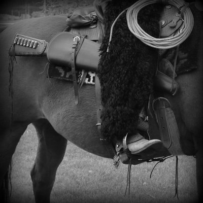 Cowboy's Companion
