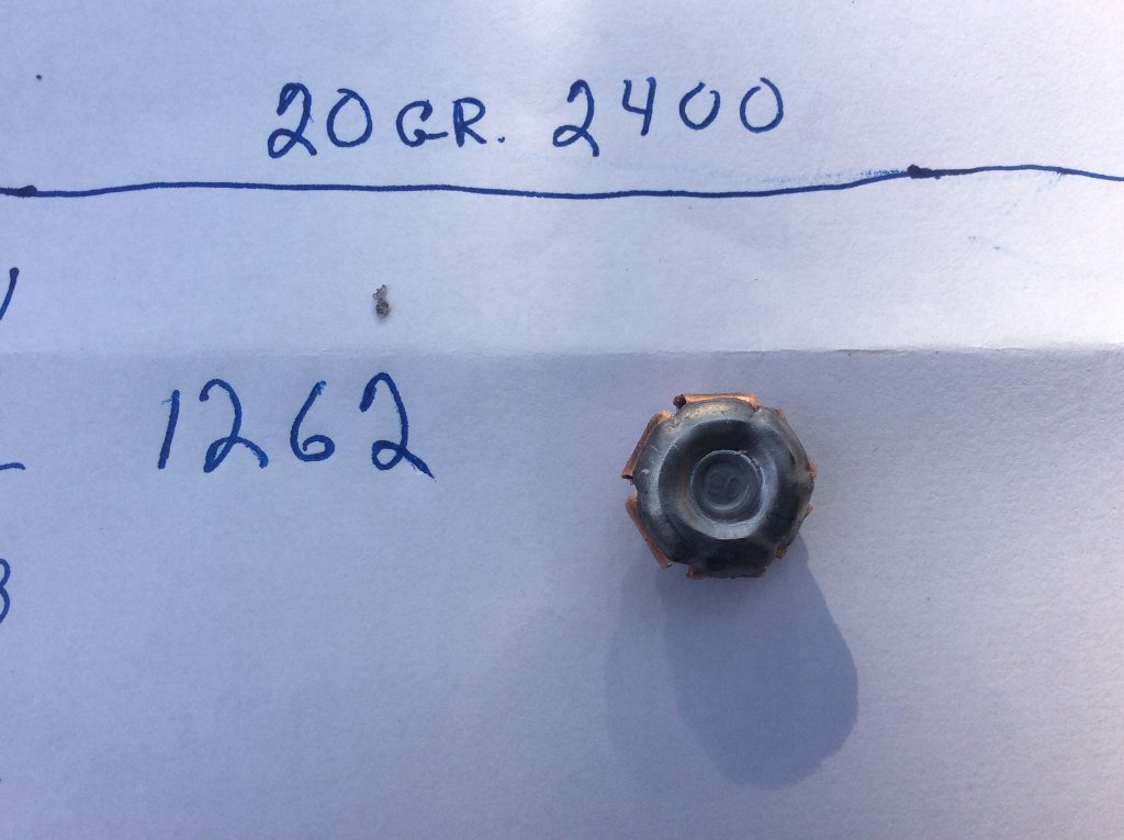 200 gr ftx with 20 gr alliant 2400.jpg