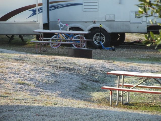 210112 001 frosty first morning 001.jpg