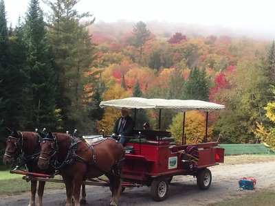 20161005_102611.jpg