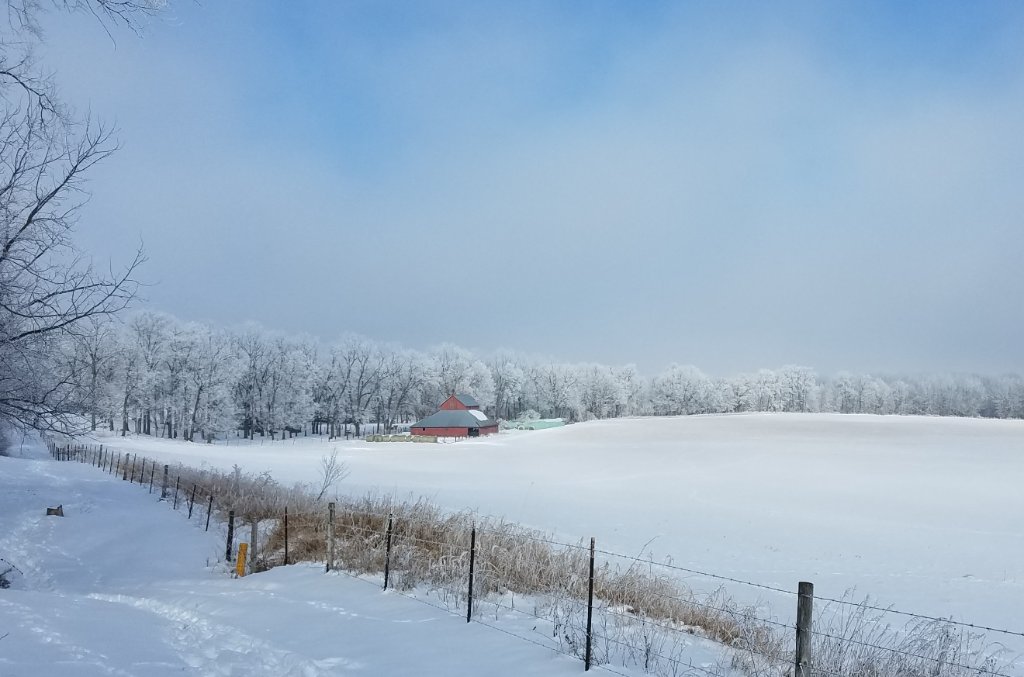 Deere Camp Frosty Morning.jpg