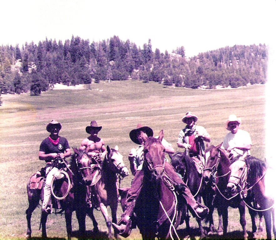 Wild Bunch 4.jpg