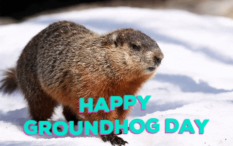 DF01ED6C-5256-455E-B51D-291987E69ADF.gif