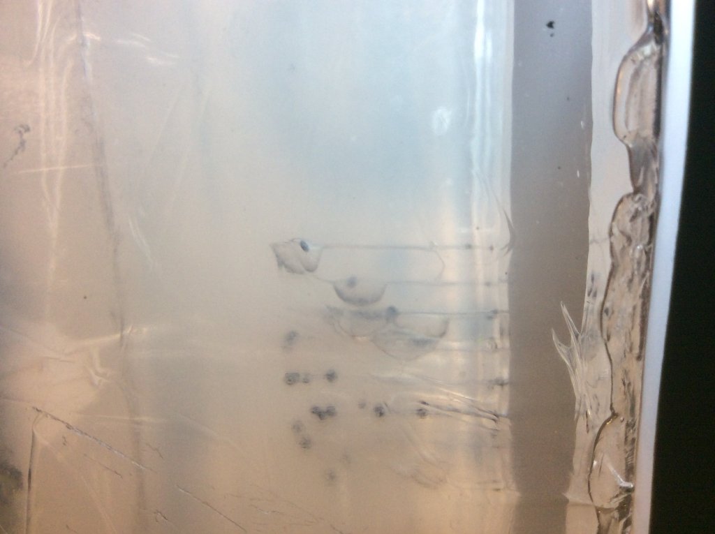 gamo air shotgun No 9 shot penetration.jpg