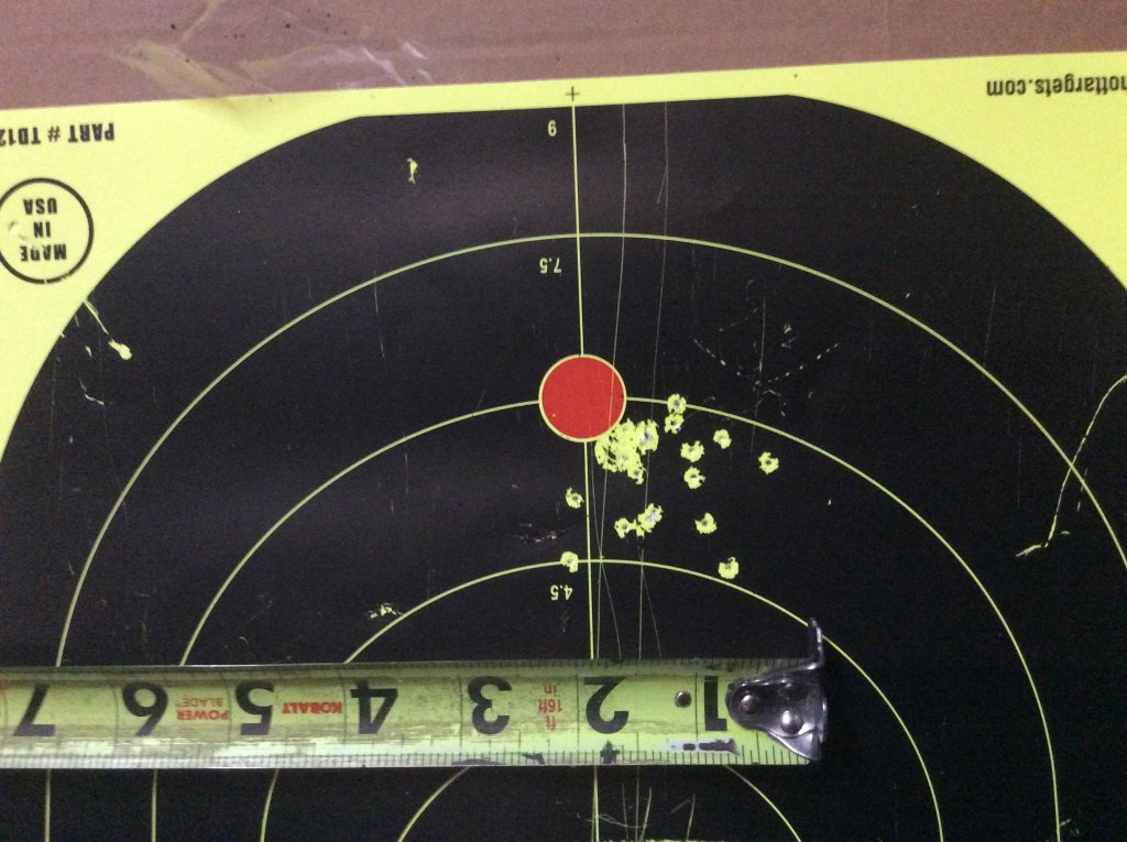 gamo 22  air shotgun  17 gr of No 9 shot from 8 ft..jpg