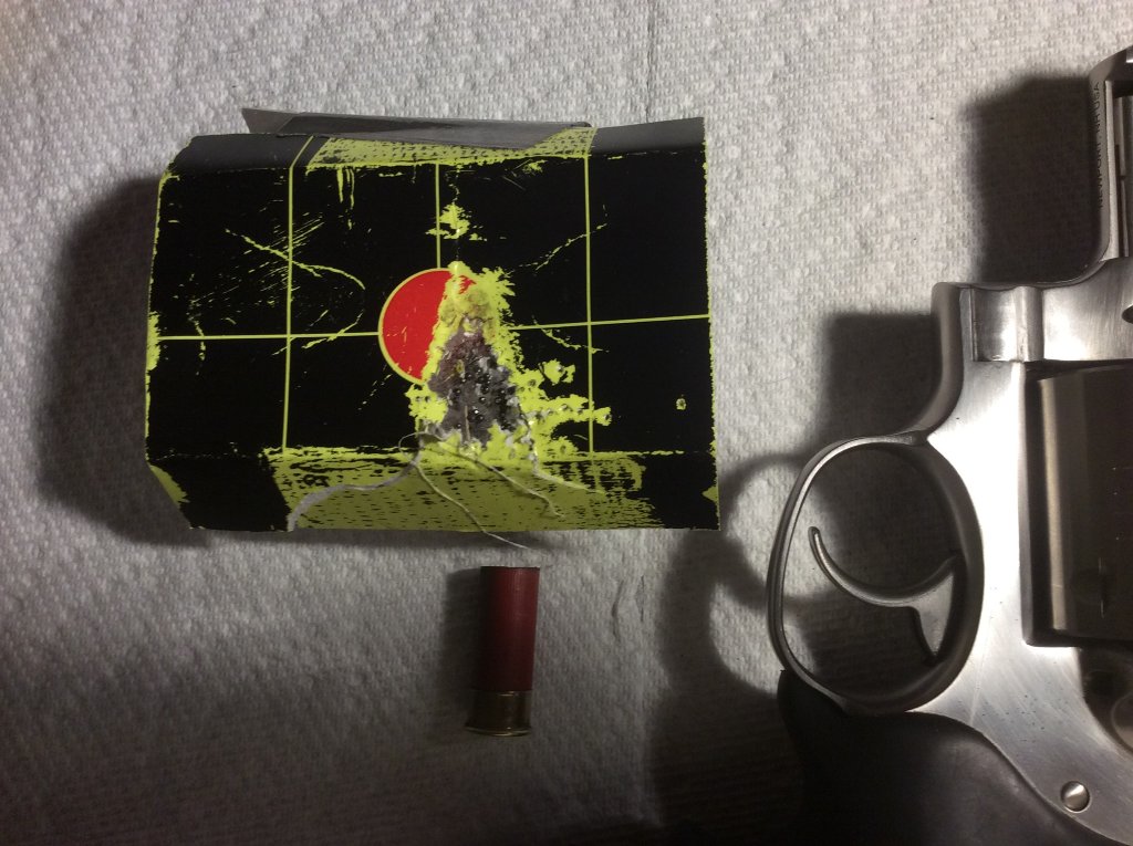 45 shot test  No. 12 shot with 410 primer only   7 ft.jpg