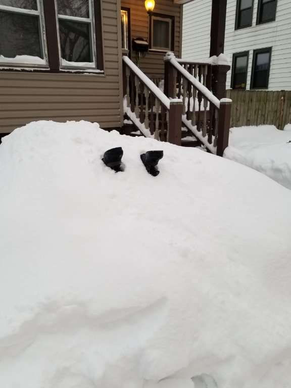 Resized_20210216_172449.jpeg