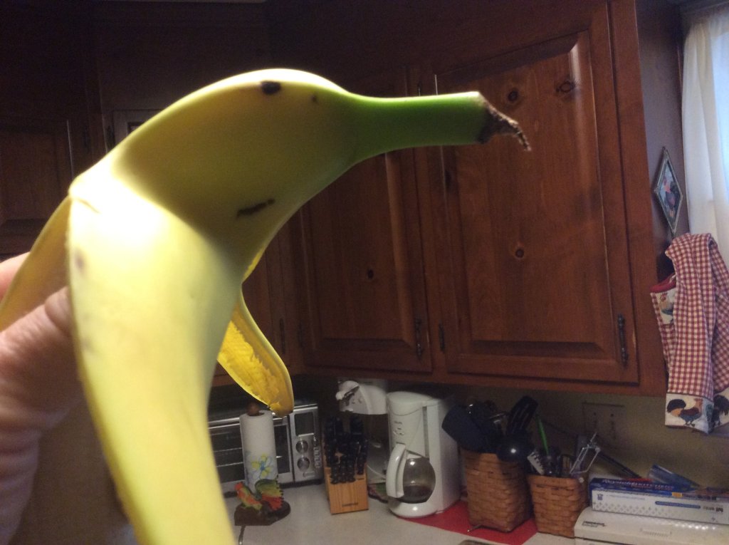 the rare banana goose.jpg