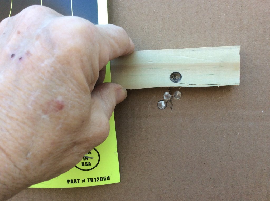 4 shots with the Henry 357.jpg