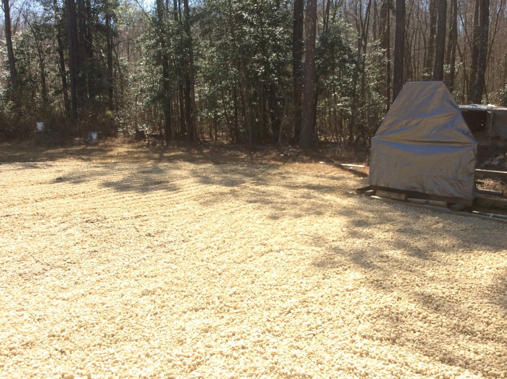 pic 2 of gravel target area.jpg