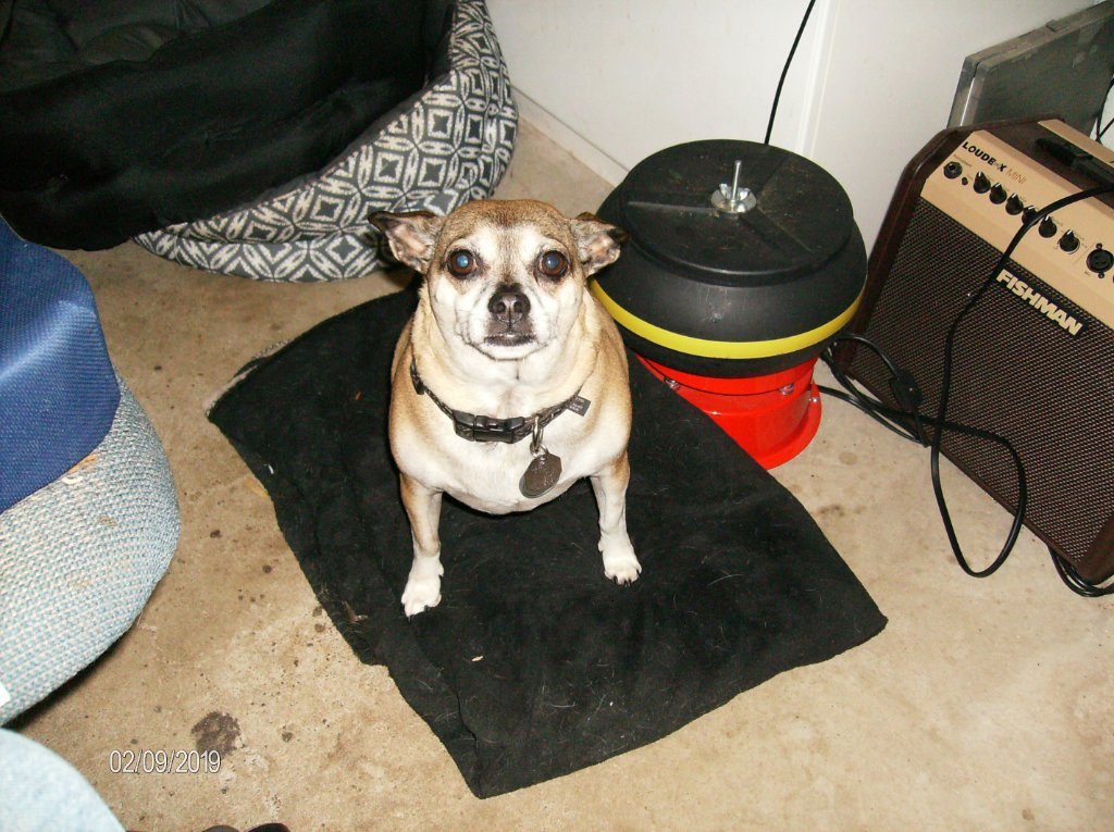 HPIM0821.JPG