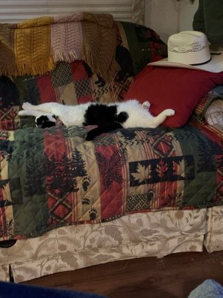 Oreo..jpg