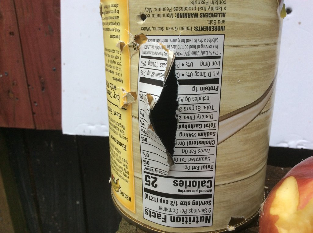 exit hole of first can.jpg