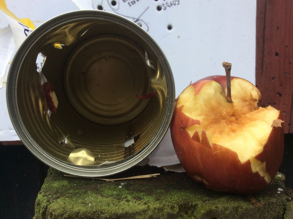 30 cal pellet goes thru second  can and thru apple and thru can.jpg