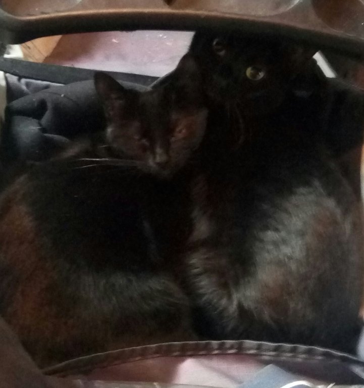Sally on the left, Jack on the right