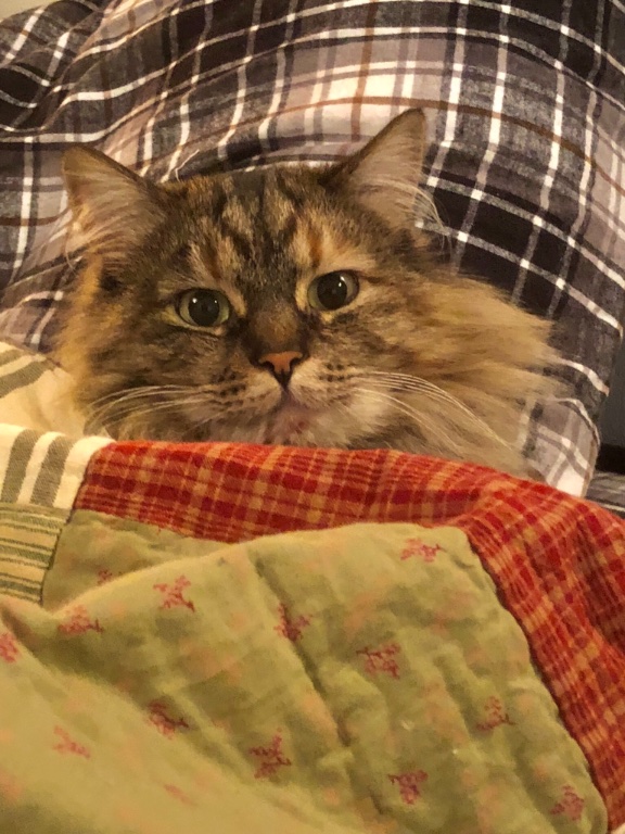 7842805F-2993-42A1-8A92-8A1575E76AF9.jpeg