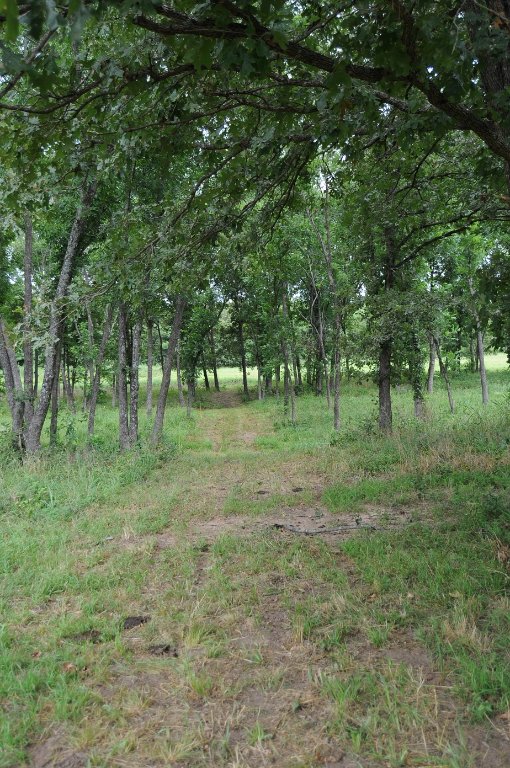 nice shaded range.jpg