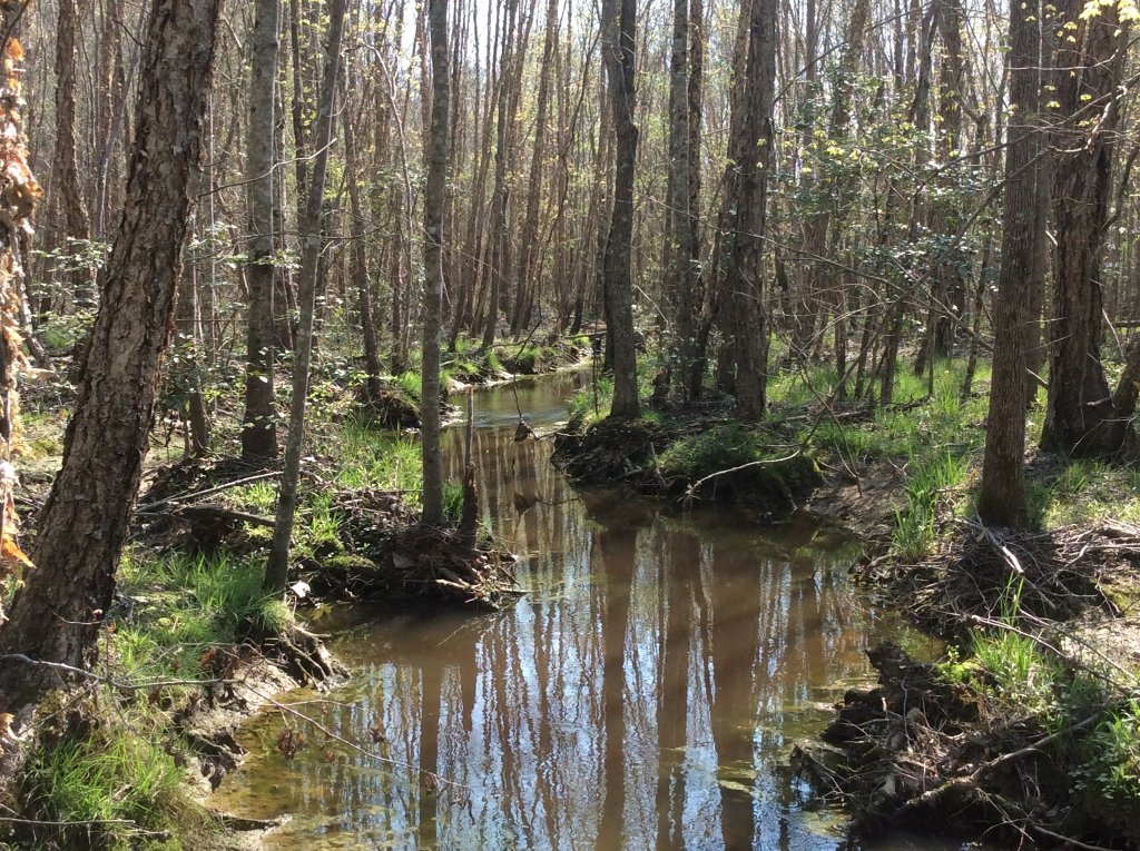 Nice spot to relax along the creek.jpg