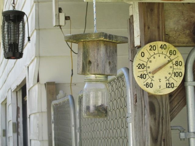 210412 001 Trap 1 001.jpg