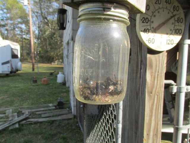 210404 001 Trap 1 002.jpg