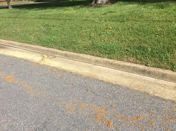 Mother Nature road crew striking chalk lines last night.jpg