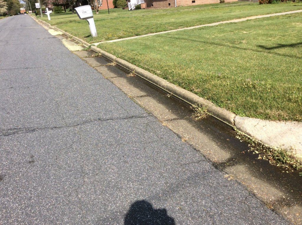 Yellow chalk lines by Mother Nature last night.jpg