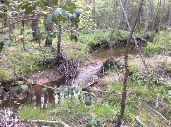 location of foot bridge 1.jpg