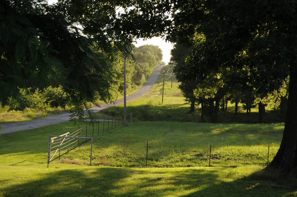05 down the front fence line.jpg