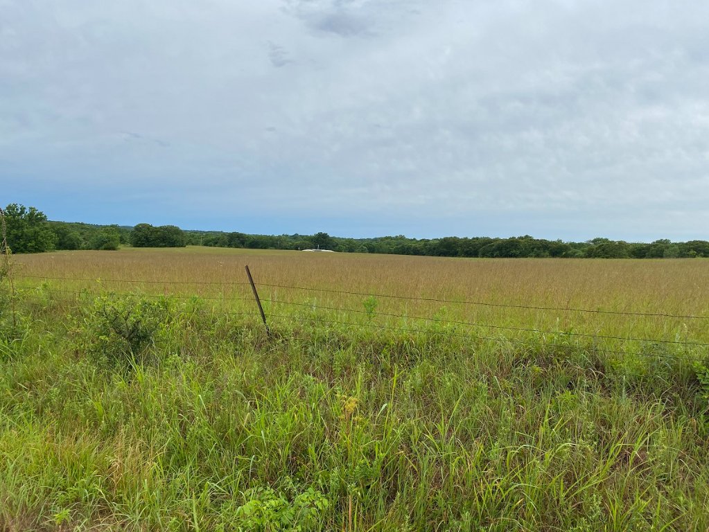 view across the neighbors hay field comp.jpg
