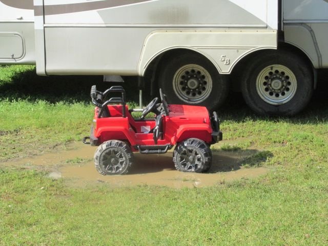 210508 001 only mud hole in the back yard 002.jpg