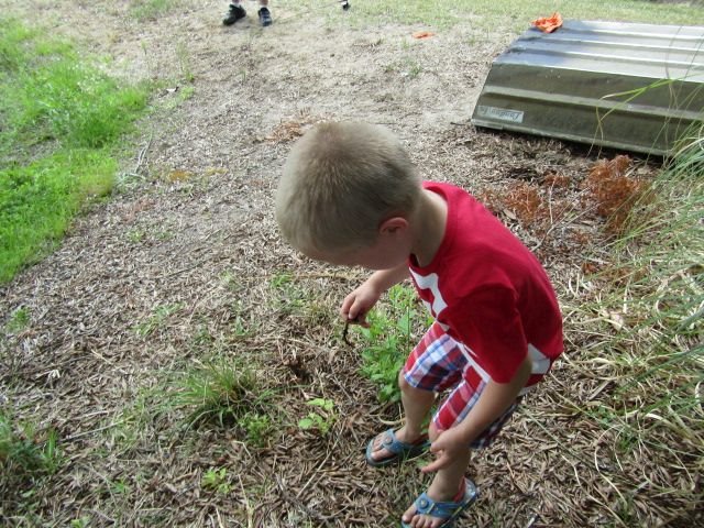 210526 003 worms 003.jpg