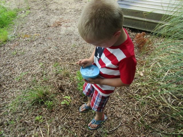 210526 003 worms 001.jpg