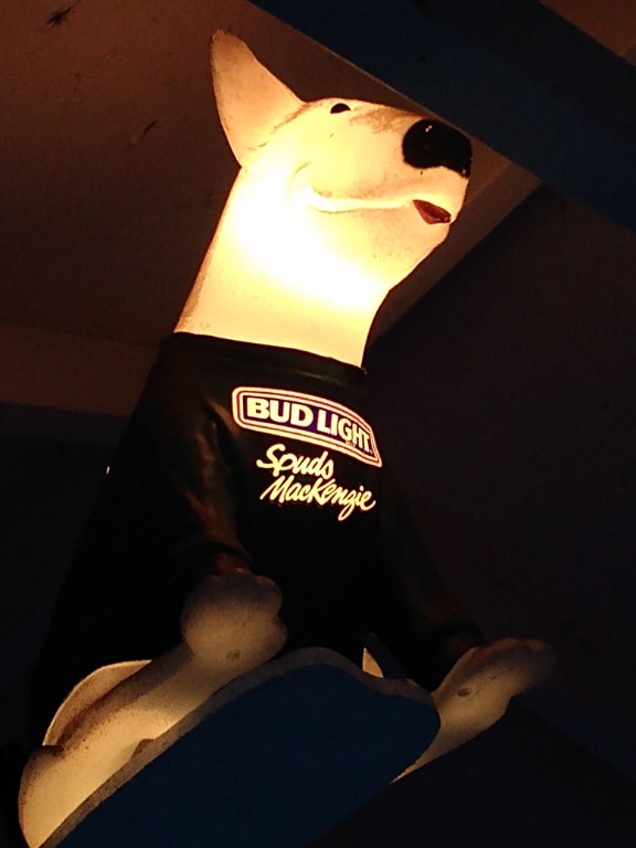 IMG_20210612_205940694.jpg
