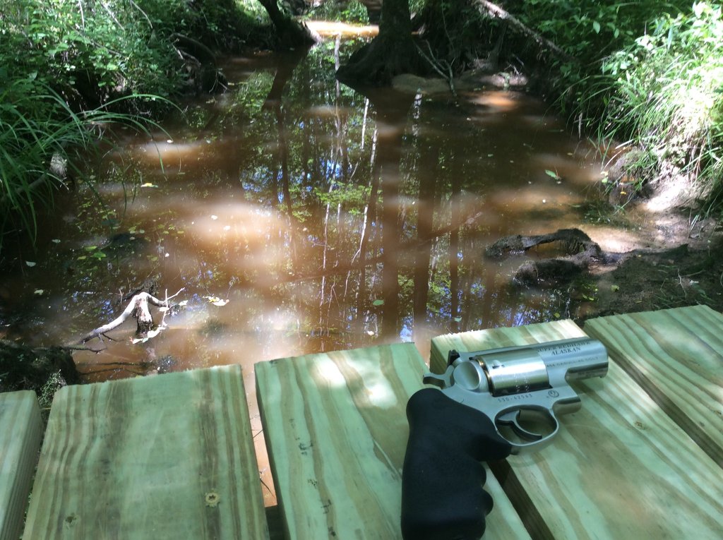 Ruger Alaskan enjoying the day on the bridge..jpg