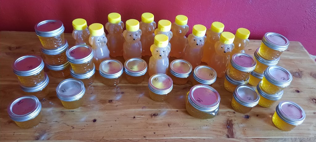 honey 1 comp.jpg