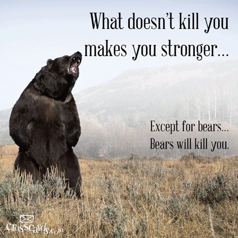what doesn't kill you.jpg