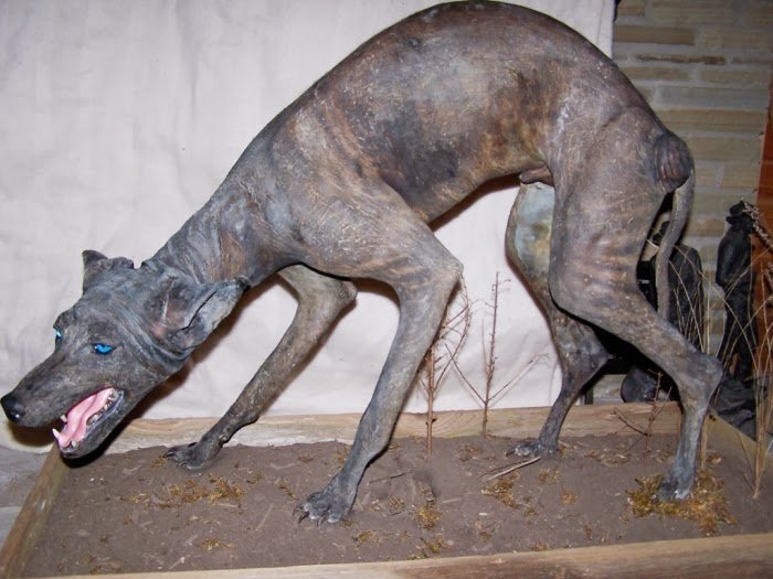 Chupacabra.jpg