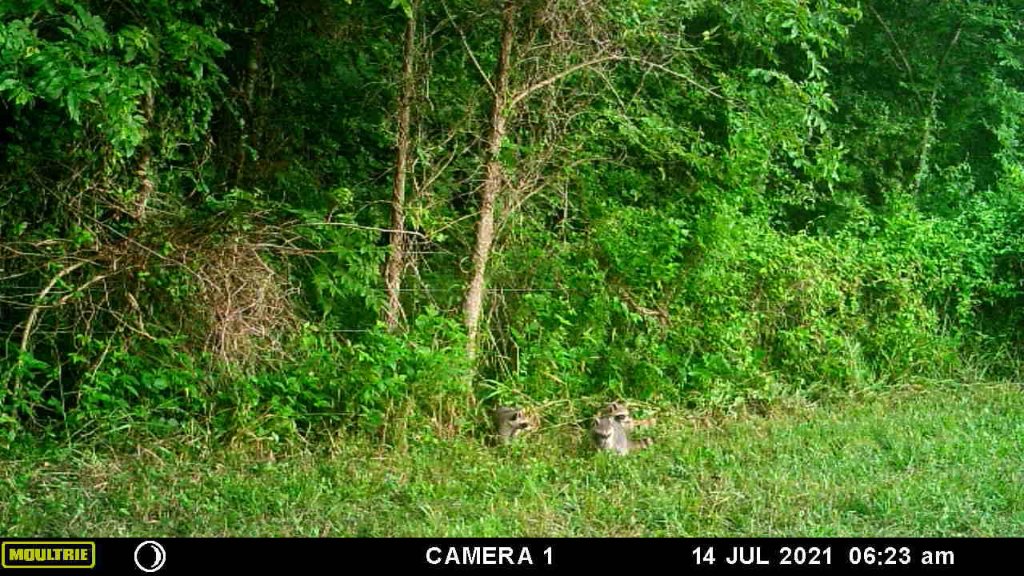 bandits pic.jpg