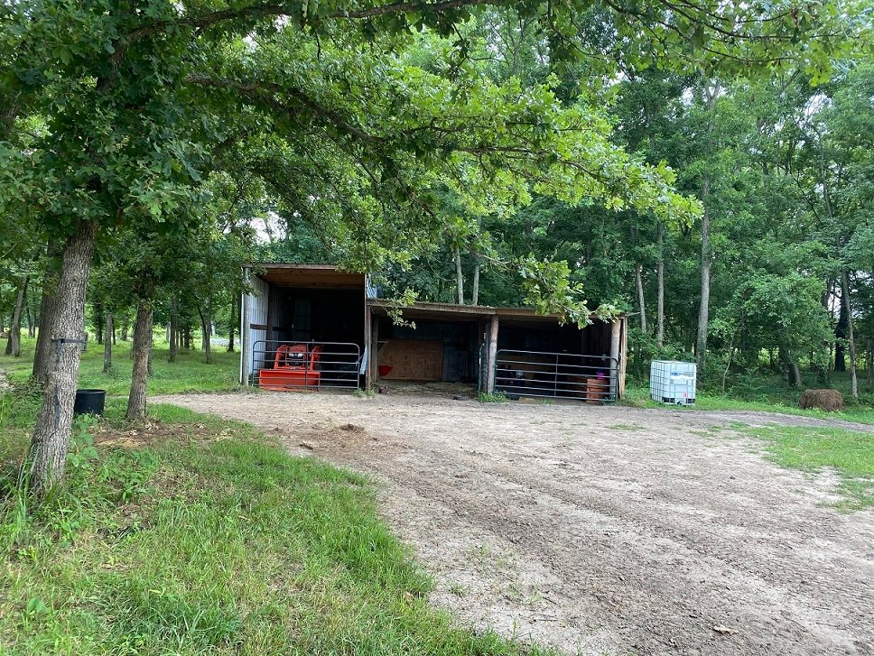 barn duty c.jpg