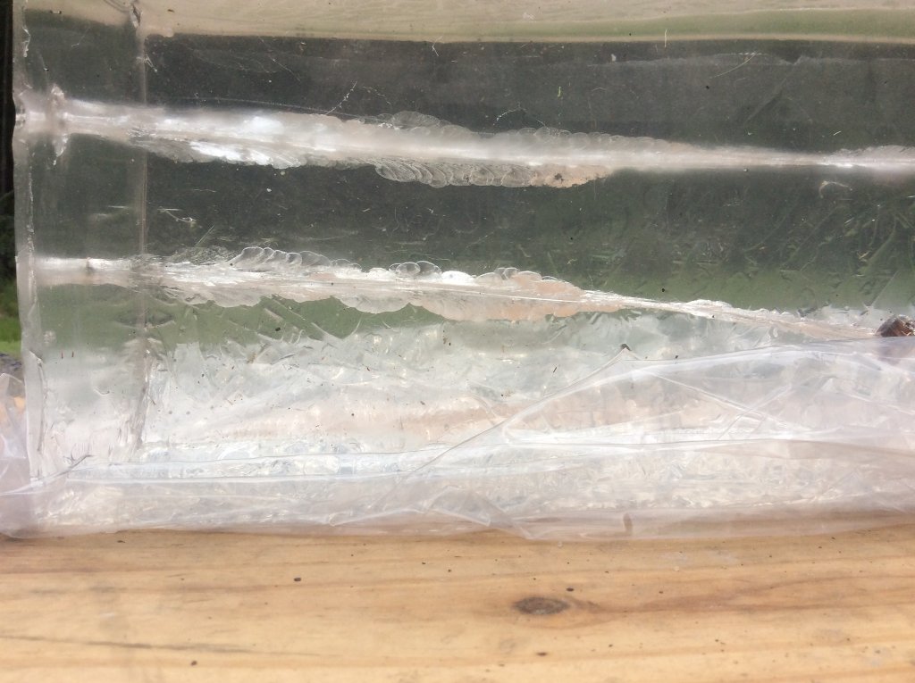 permenant cavity from 44 45 colt and 38 special shots.jpg