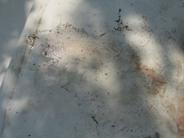 210726 001 gunk from front AC drain 002.jpg