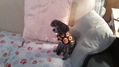 IMG_20161025_171141.jpg