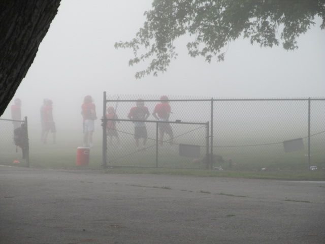 210809 001 foggy morning 003b.jpg